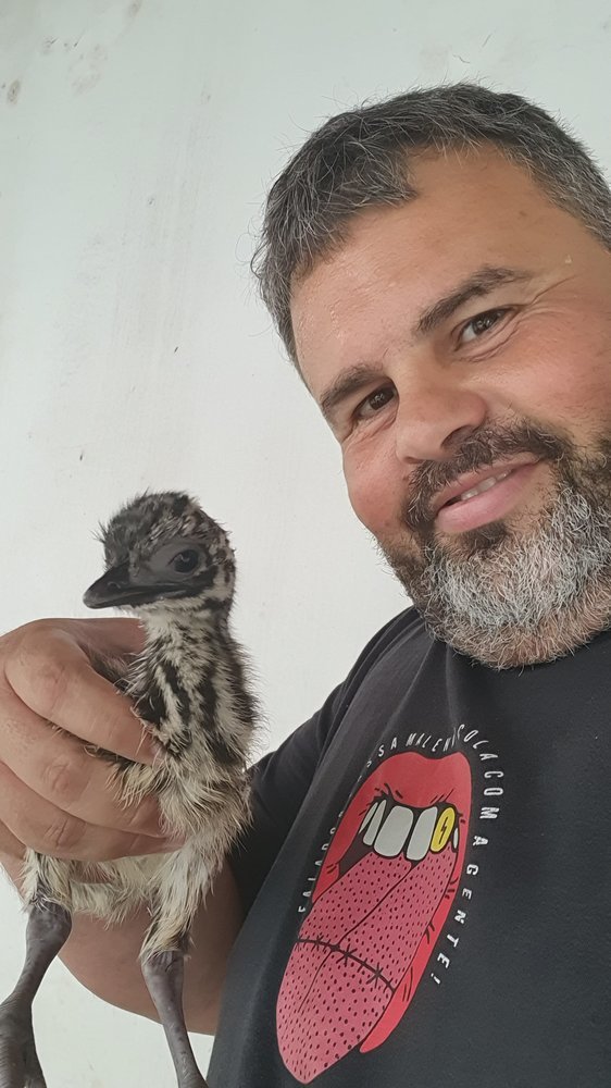Leandro Andrade, fundador do Criatório LA, segurando um filhote de Emu Australiano